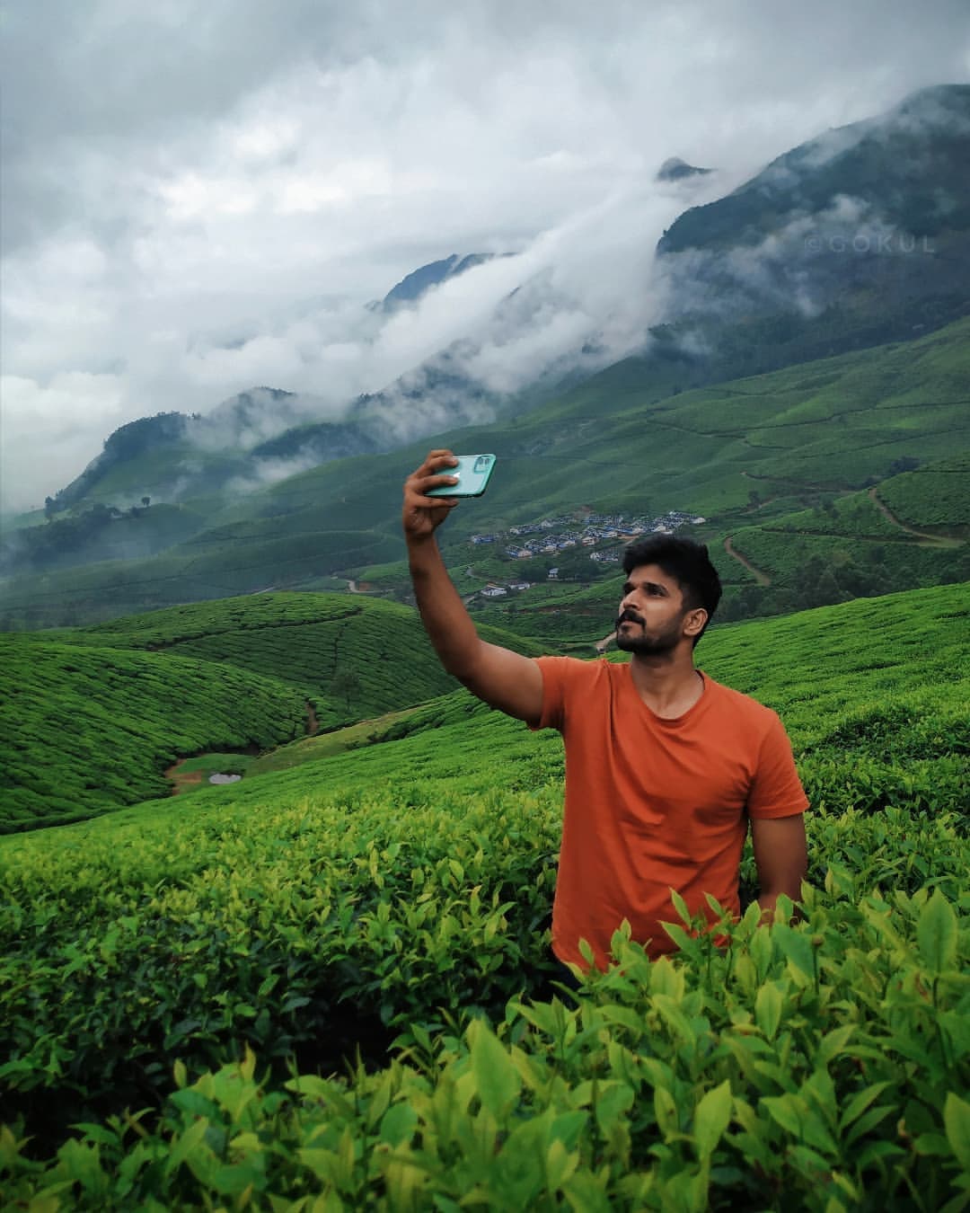 Munnar Tea Plantation, Kerala