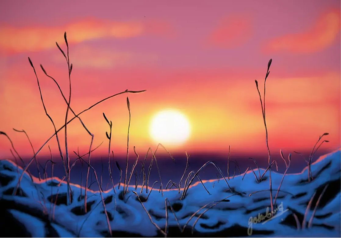 Nature sunset illustration